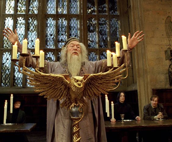 Michael Gambon como ator de Harry Potter