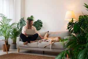 Dicas de ambiente confortável para seu pet em apartamentos