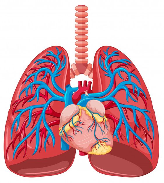 Hemorragia no pulmão
