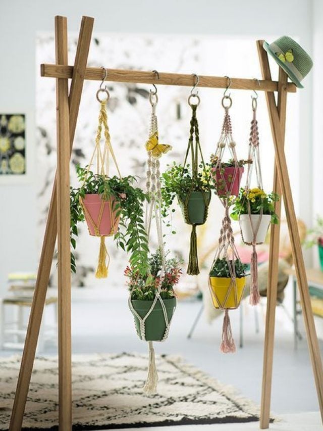 Escada com plantas