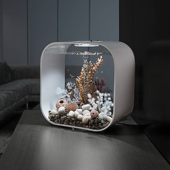 Design minimalista do aquário
