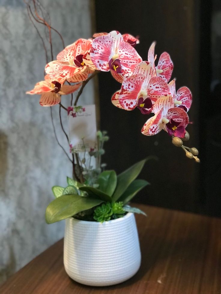 Orquídea rosa em vaso branco