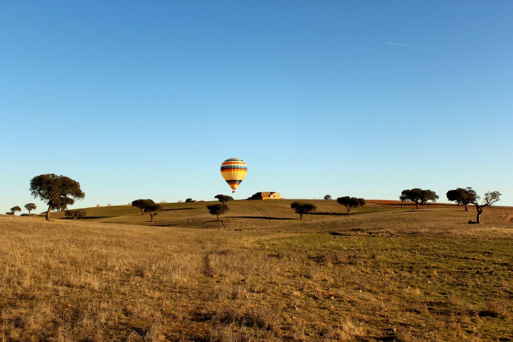 Imagem de um campo e ao fundo um balão de ar 
