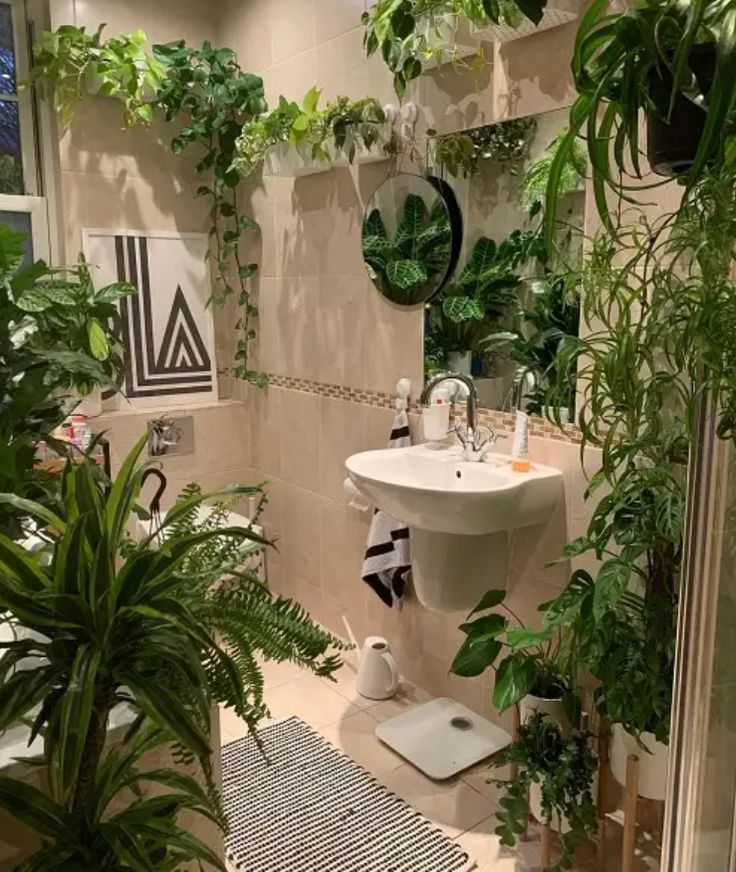 Banheiro com plantas de diversos tamanhos