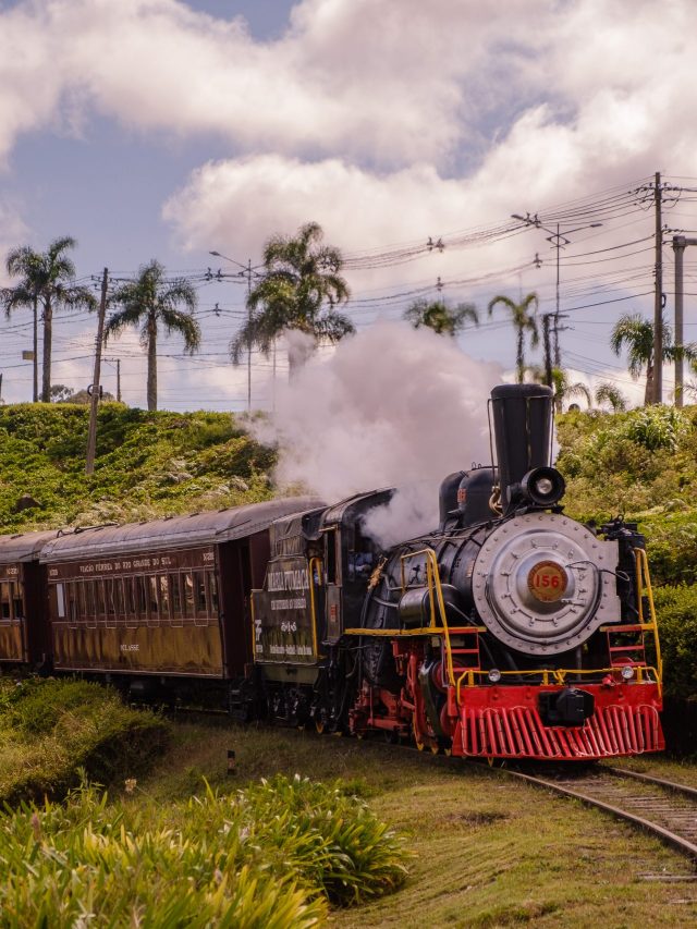 4 lugares para comemorar o Dia dos Pais