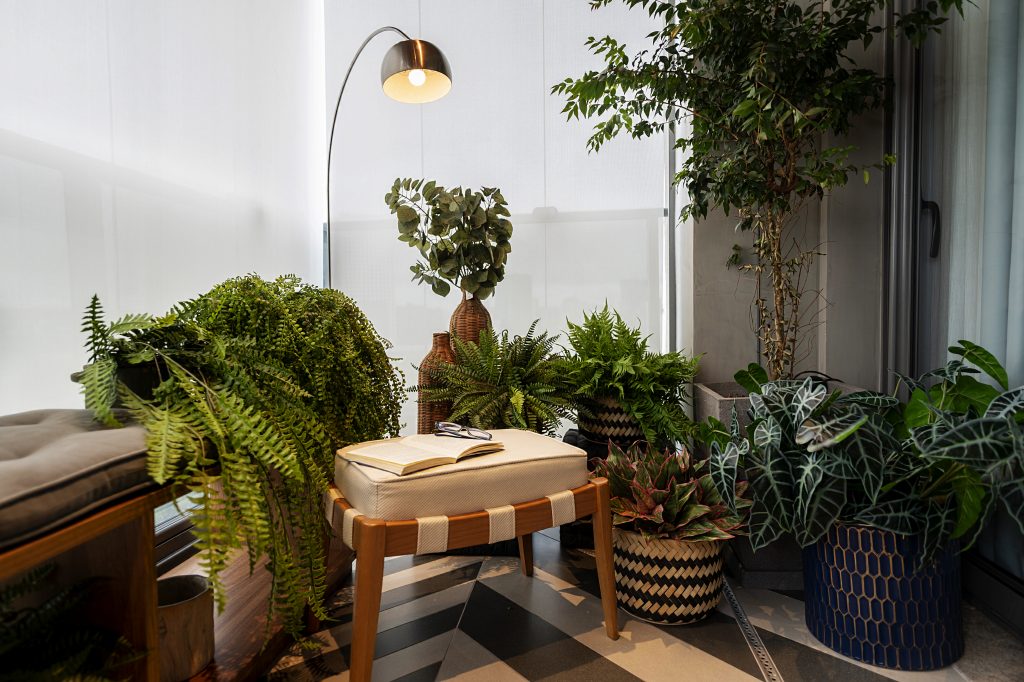 Composição com diferentes tamanhos de plantas