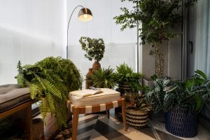 Composição com diferentes tamanhos de plantas