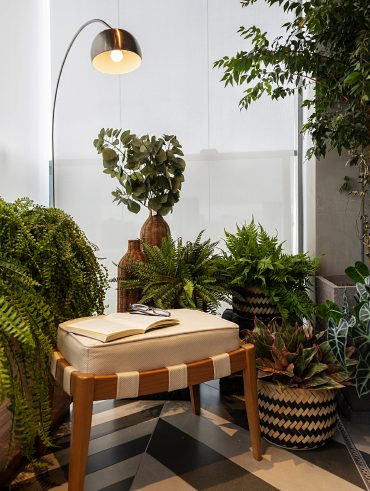 Composição com diferentes tamanhos de plantas