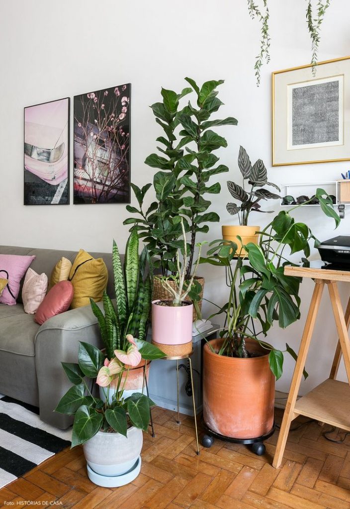 Canto da sala de estar com plantas