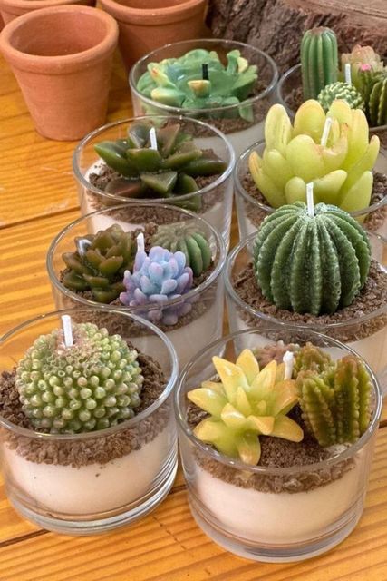 Embalagens de vidro com velas de suculentas