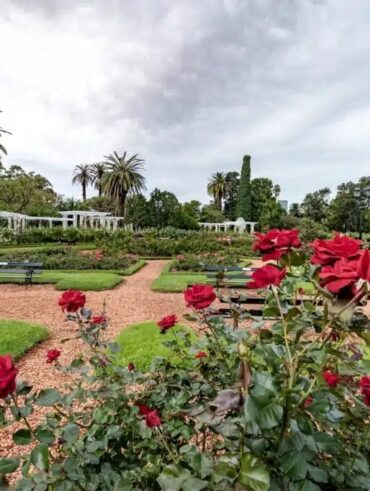 Parque com verde e rosas