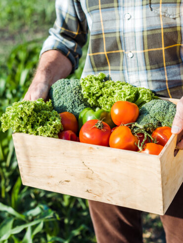 Homem segurando caixa de madeira com tomates, alface e brócolis