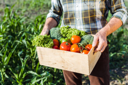 Homem segurando caixa de madeira com tomates, alface e brócolis