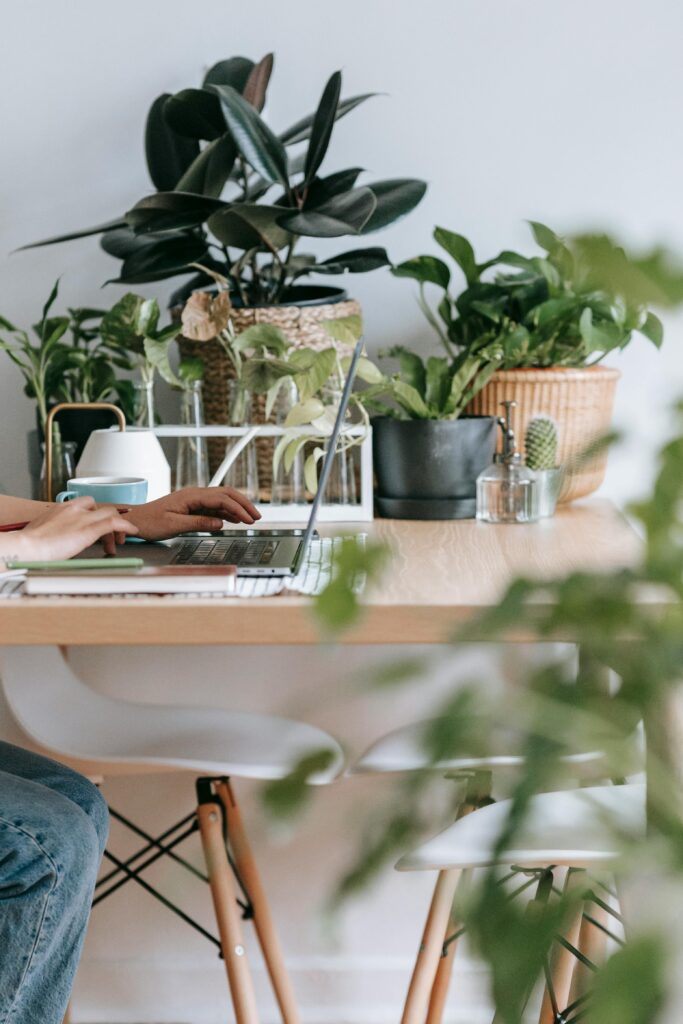 Ambiente com plantas e uma pessoa sentada junto à uma mesa com notebook