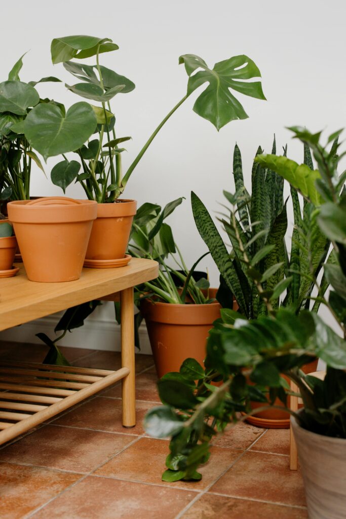 Espaço com vasos de barro e plantas