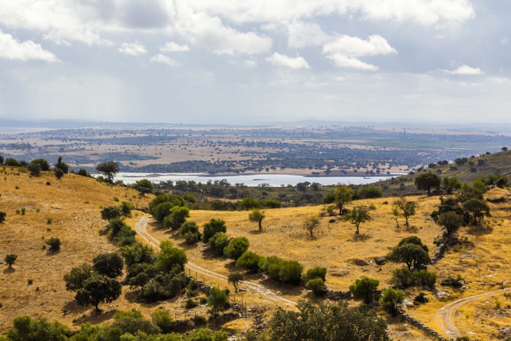 Paisagem com estrada, vegetação e lago ao fundo