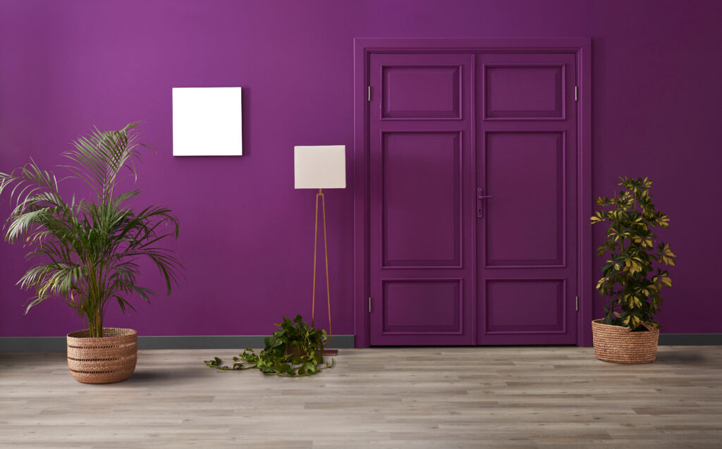 Ambiente com parede e porta roxo e vasos de plantas