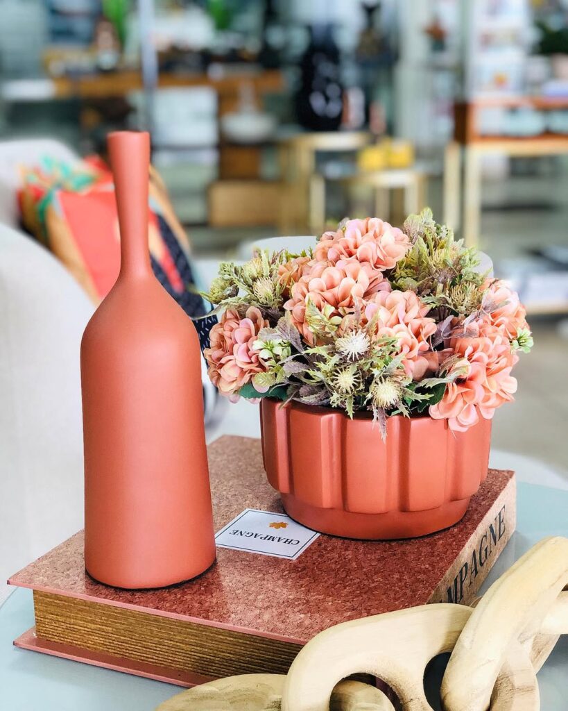 Livro com vasos de cerâmica terracota com flores