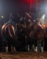 Adan Banuelos e Bella Hadid montados em cavalos