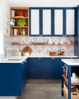 Inspiração de cozinhas coloridas