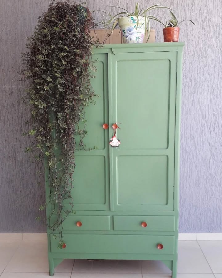 Armário pintado de verde decorado com vasos de plantas