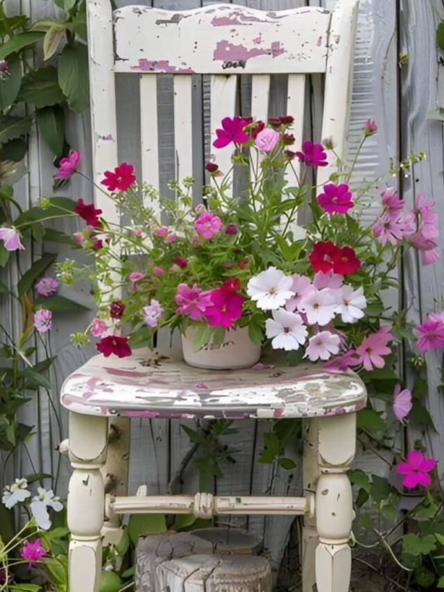 Cadeira branca envelhecida com vaso e flores rosas e brancas