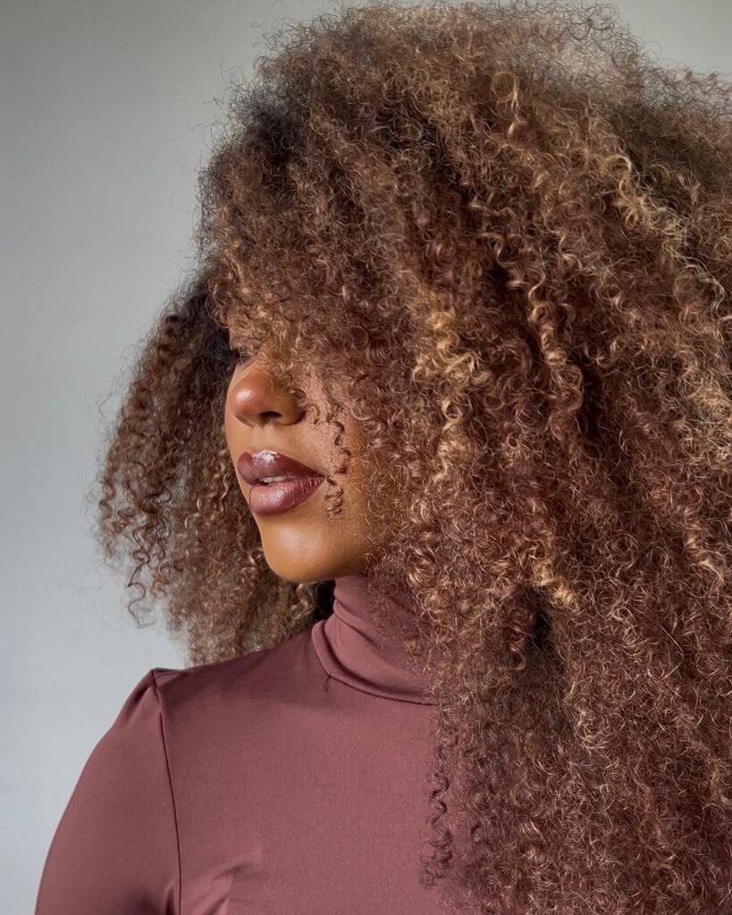 Mulher de pele preta, com blusa marrom avermelhada e cabelo crespo