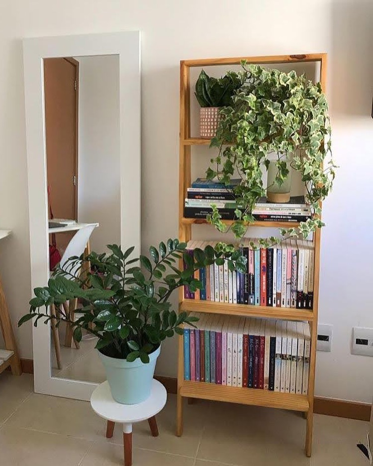 Estante de livros de madeira com plantas