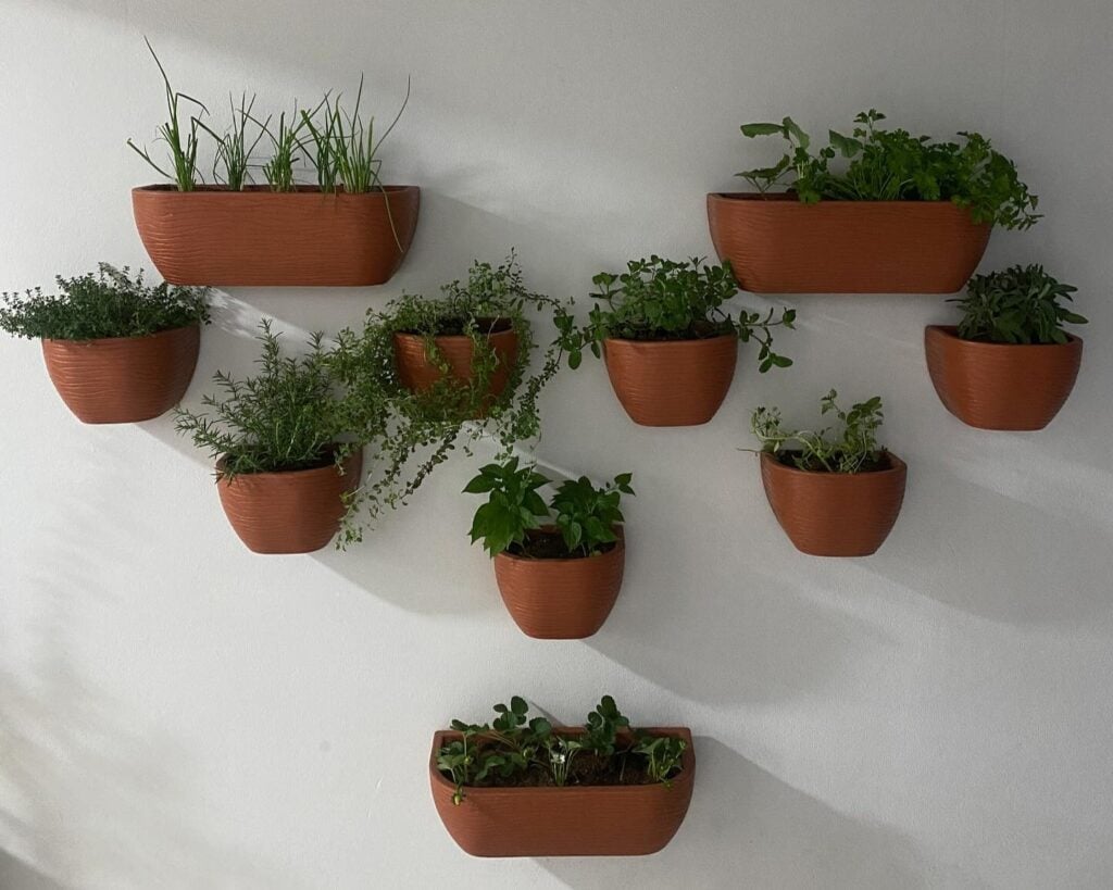 Horta em casa na parede em vasos