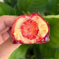 Sobremesa morango do amor