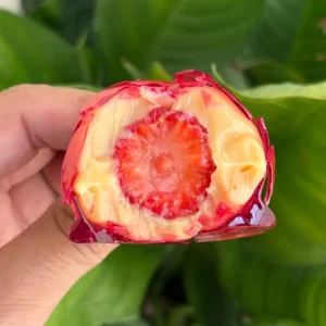 Sobremesa morango do amor