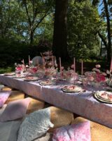 festa rosa com almofadas e pequenique