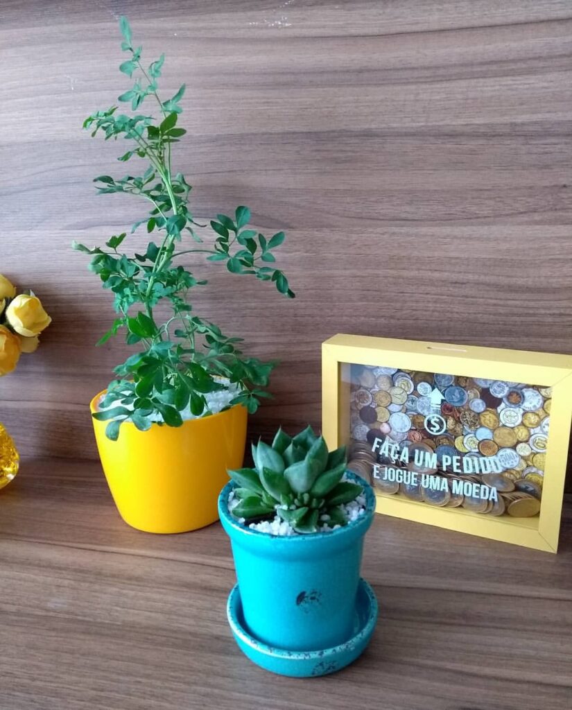 Vaso amarelo com pedrinhas brancas e arruda