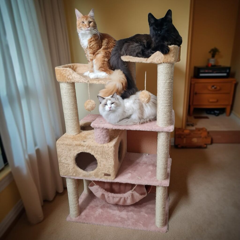 Arranhador vertical com três gatos