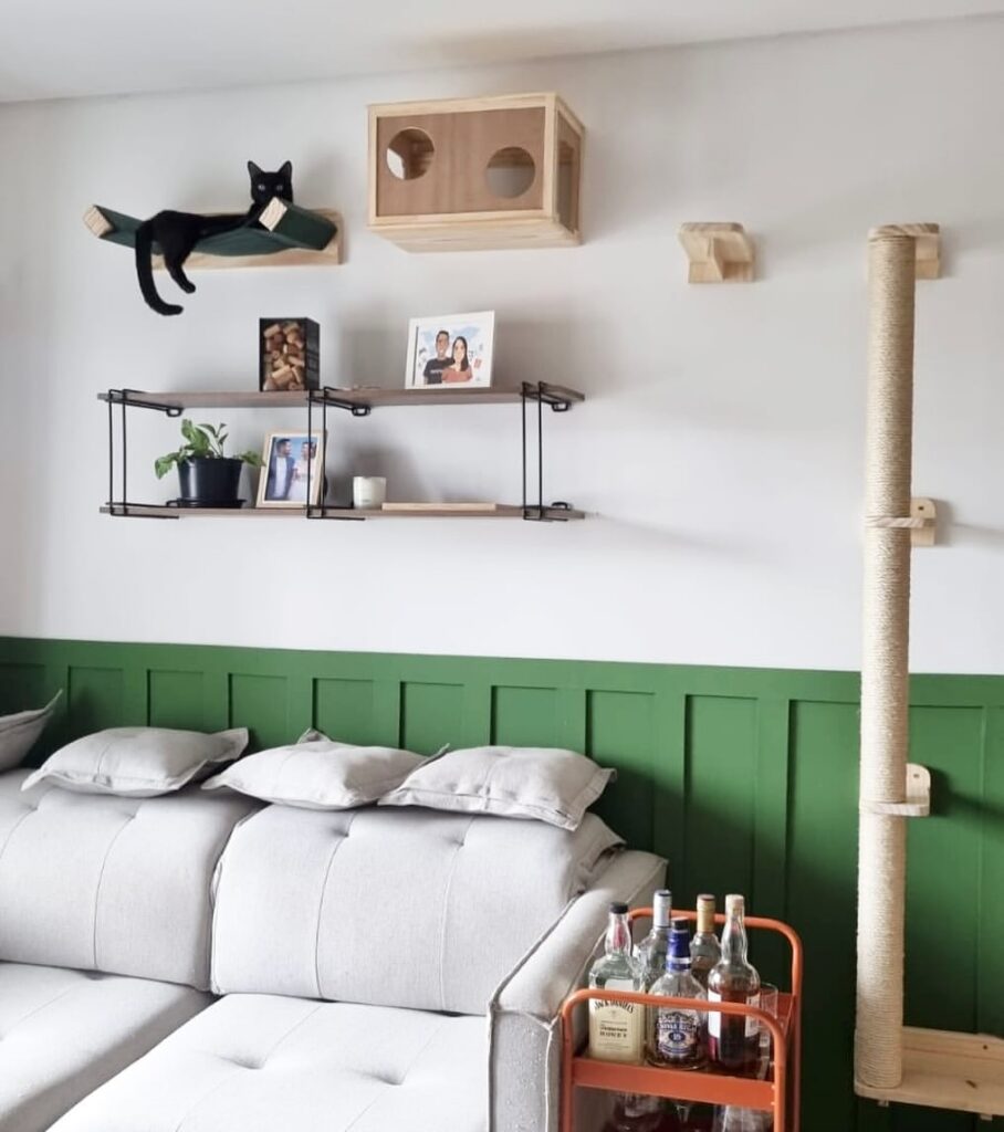Ambiente com prateleiras e arranhador para gatos