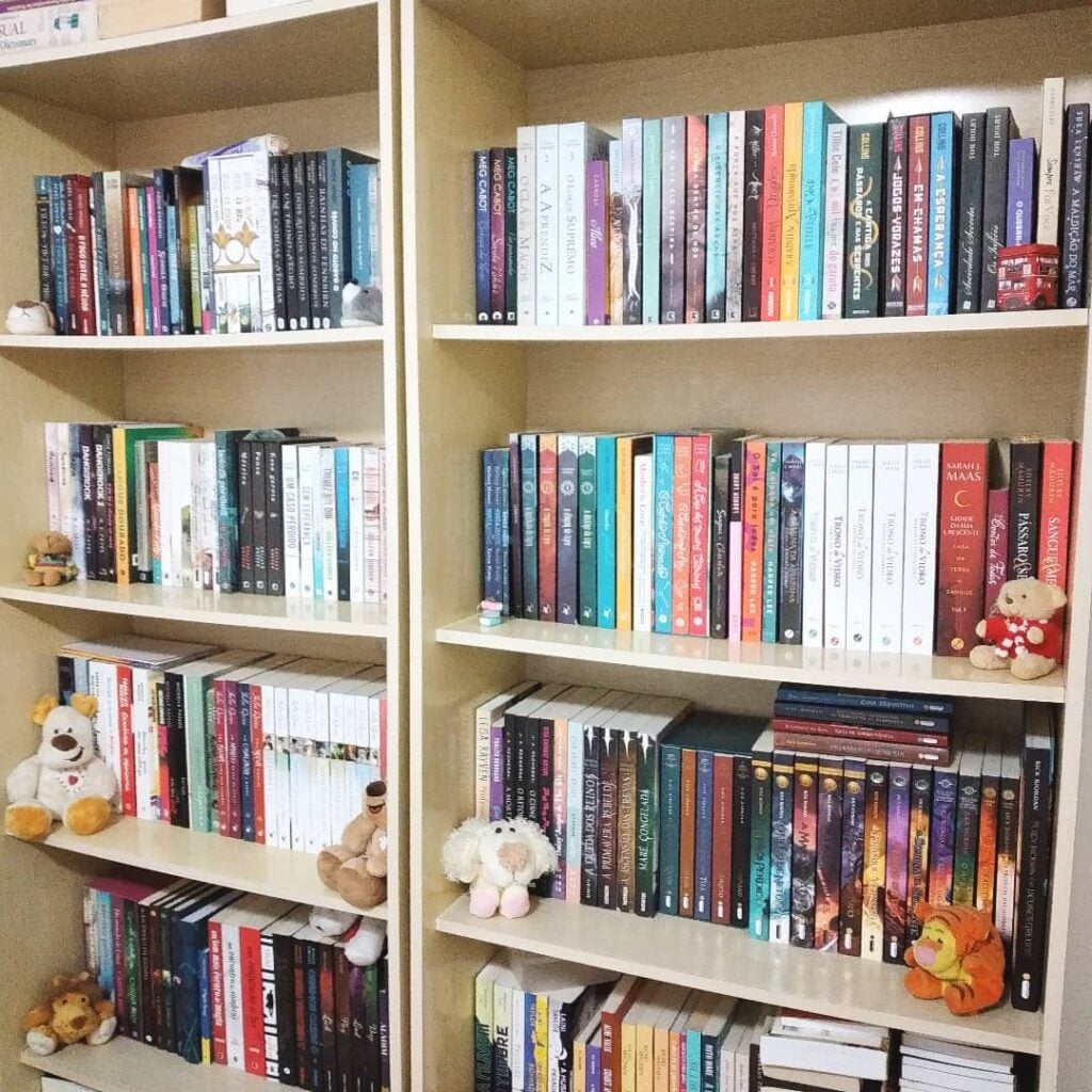 Estantes com livros e bichinhos de pelúcia