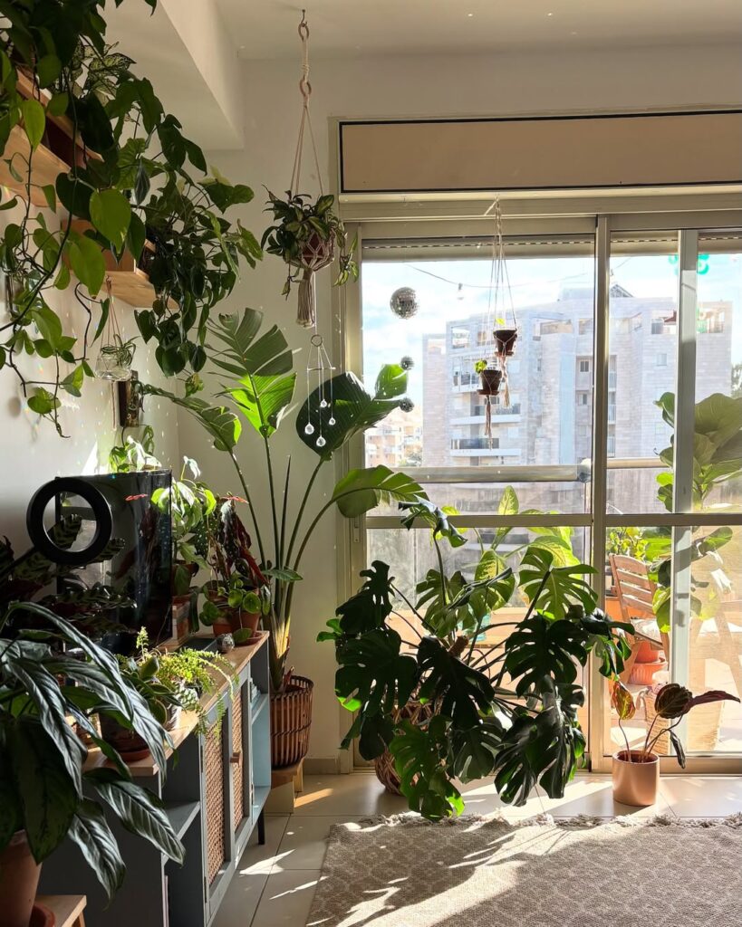Ambiente com plantas verdes em vasos e suspensas frente à uma janela ampla de vidro