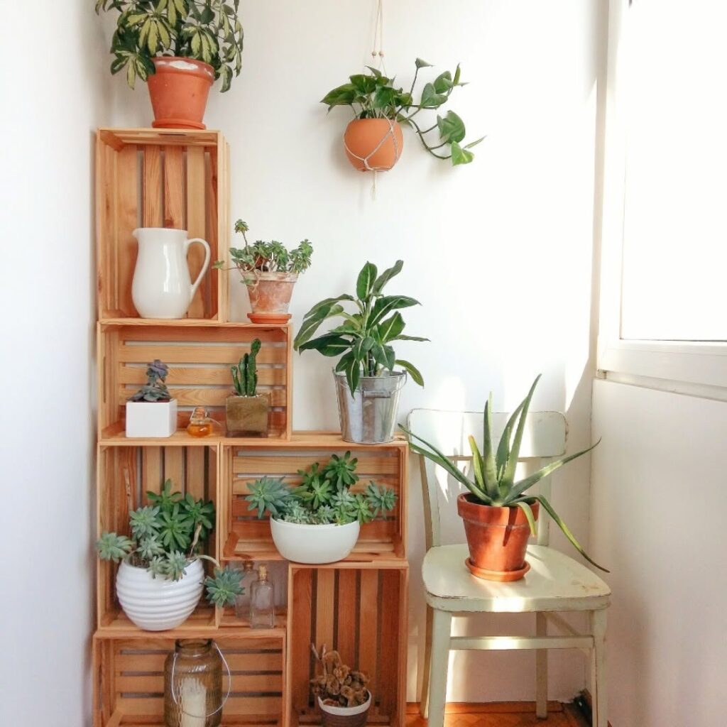 Varanda com caixotes de madeira e vasos de plantas