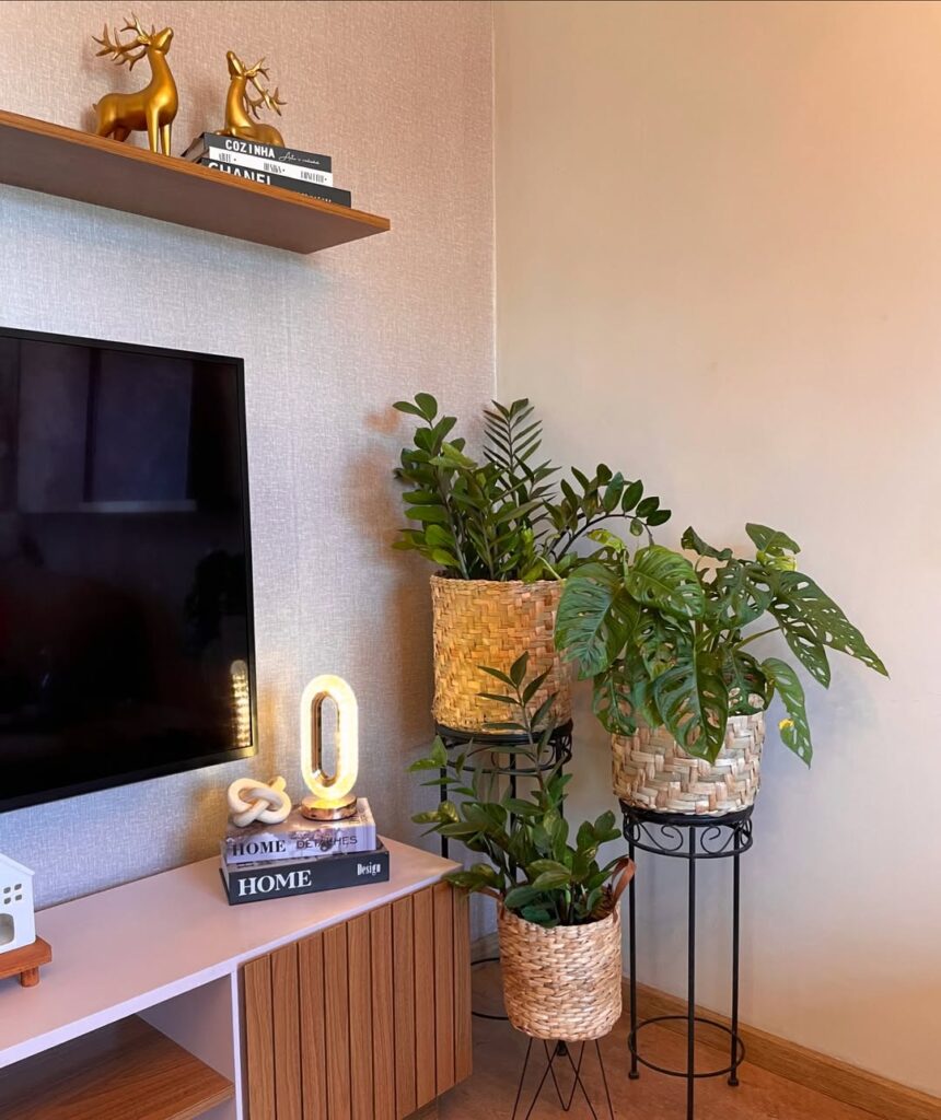 Sala com três vasos de plantas no canto