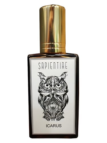 Ícarus – Sapientiae Niche