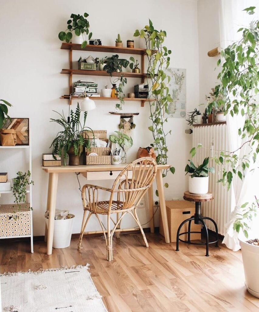 Ambiente com mesa, cadeira e prateleira com plantas variadas