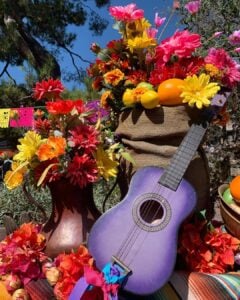 Violão roxo, jarro com flores coloridas e frutas