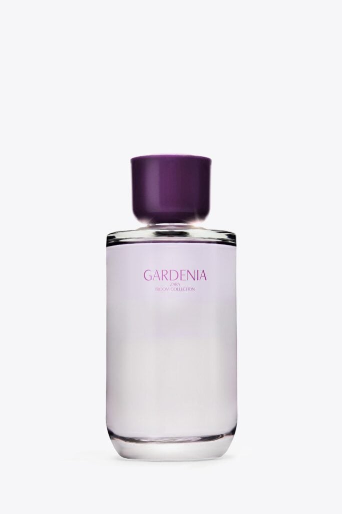 GARDENIA ZARA