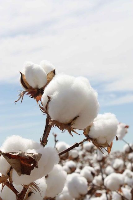 Os melhores tecidos para o verão