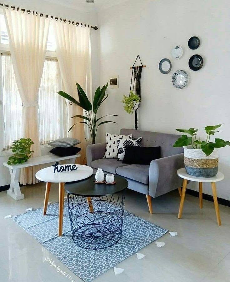 Sala pequena com sofá cinza de veludo e pés palito, pratos na parede e vasos com plantas
