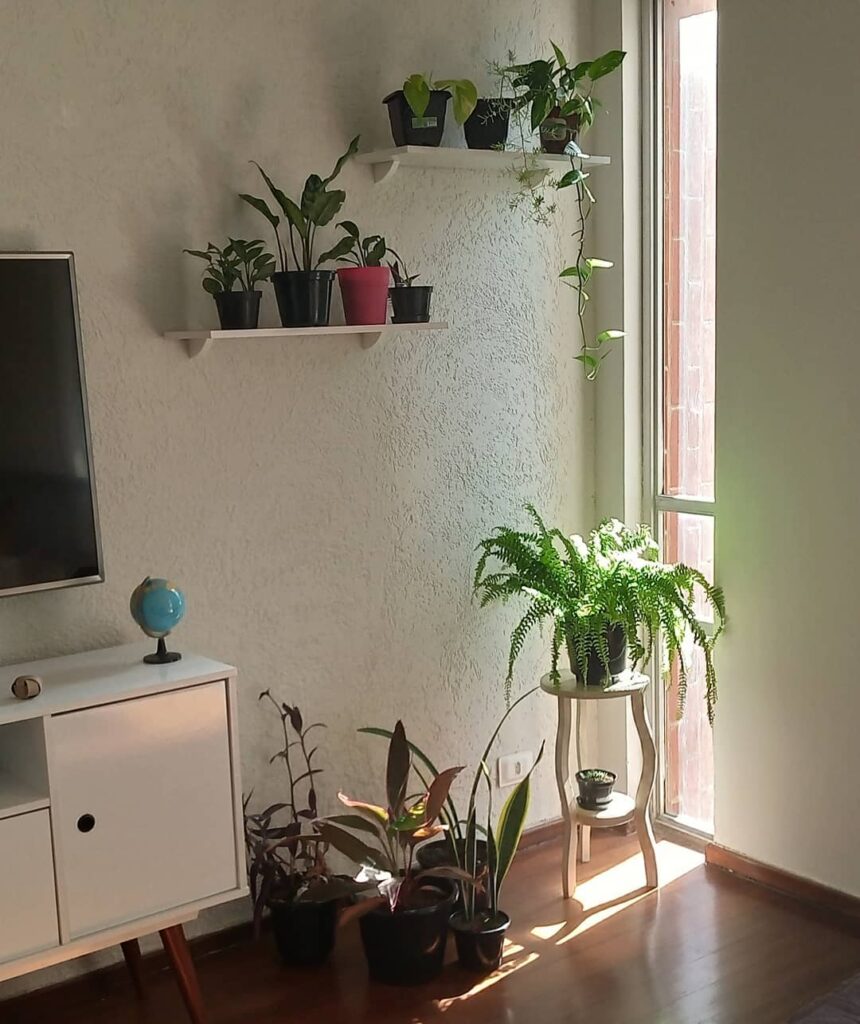 Canto vazio de sala com plantas