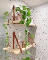 Planta jibóia no banheiro com prateleiras