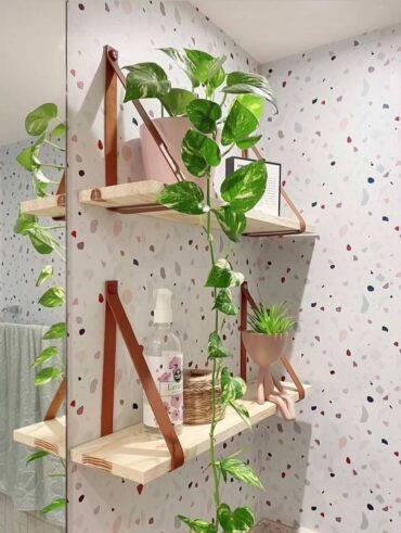 Planta jibóia no banheiro com prateleiras