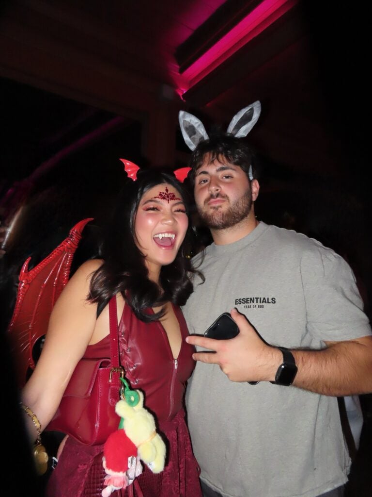 Fantasia de Carnaval com personagem do Shrek
