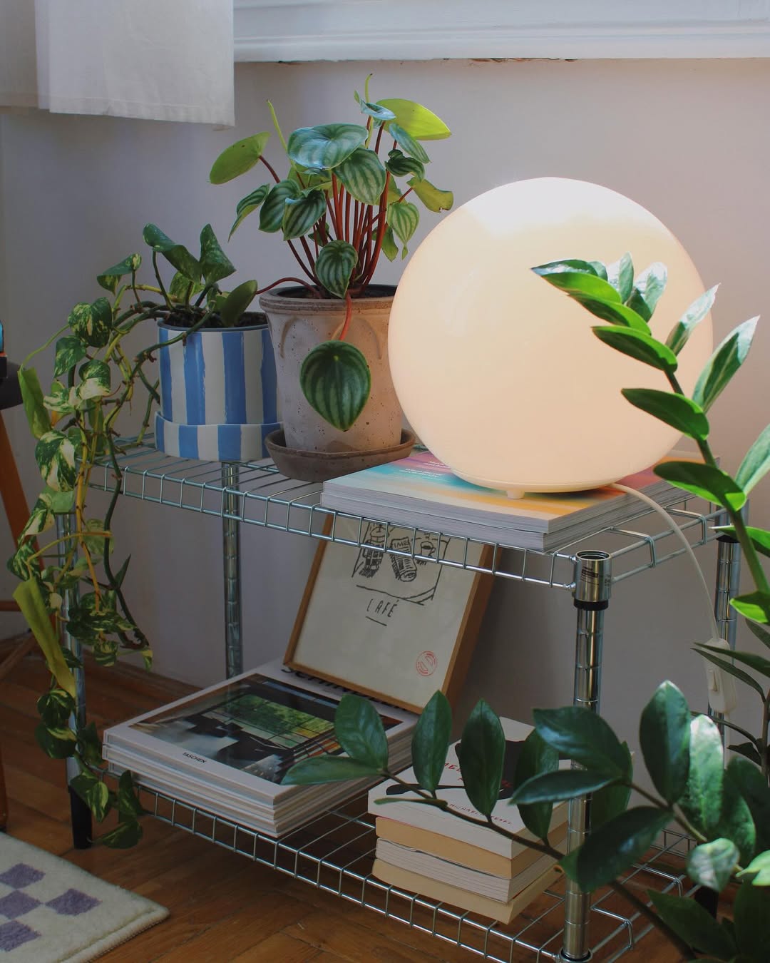 Decoração com livros e plantas
